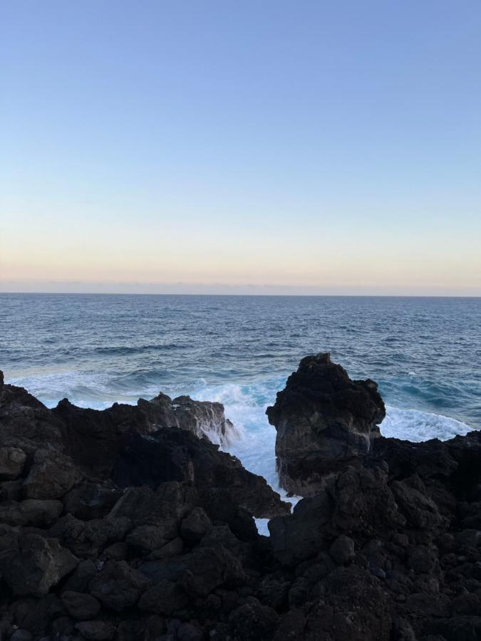 Les Villas Du Cap Piscine Chauffee Avril A Octobre Saint-Joseph Bagian luar foto