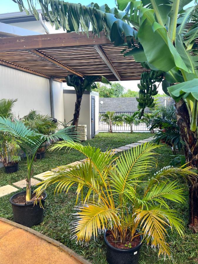 Les Villas Du Cap Piscine Chauffee Avril A Octobre Saint-Joseph Bagian luar foto